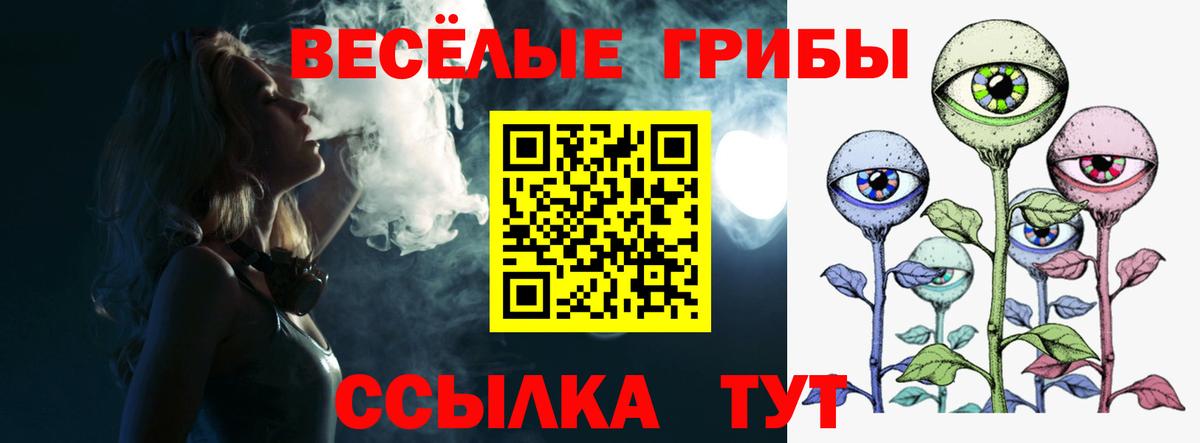 Звенигород  Псилоцибиновые грибы Magic Shrooms  Вход с VPN 